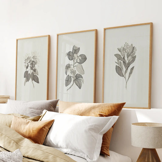 Print Country Vintage Kitchen Decor Botanical Art Set. Thinwood Frames Above the Bed.