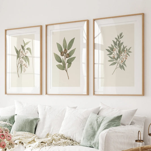 Vintage Flower Paintings Trendy Decor Poster Set. Thinwood Frames with Mat Above the Sofa.
