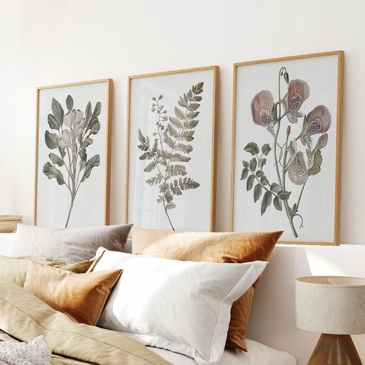 Botanical plant retro wall art. Vintage home gift posters. Thinwood frames above the bed.