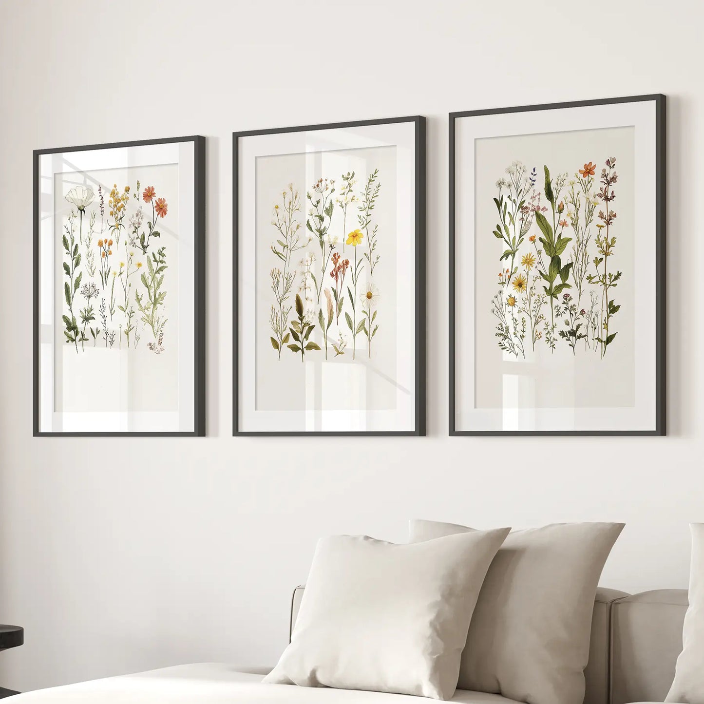 Botanical Print Dry Flowers Modern Wall Art Print Set. Black Frames with Mat Above the Sofa.