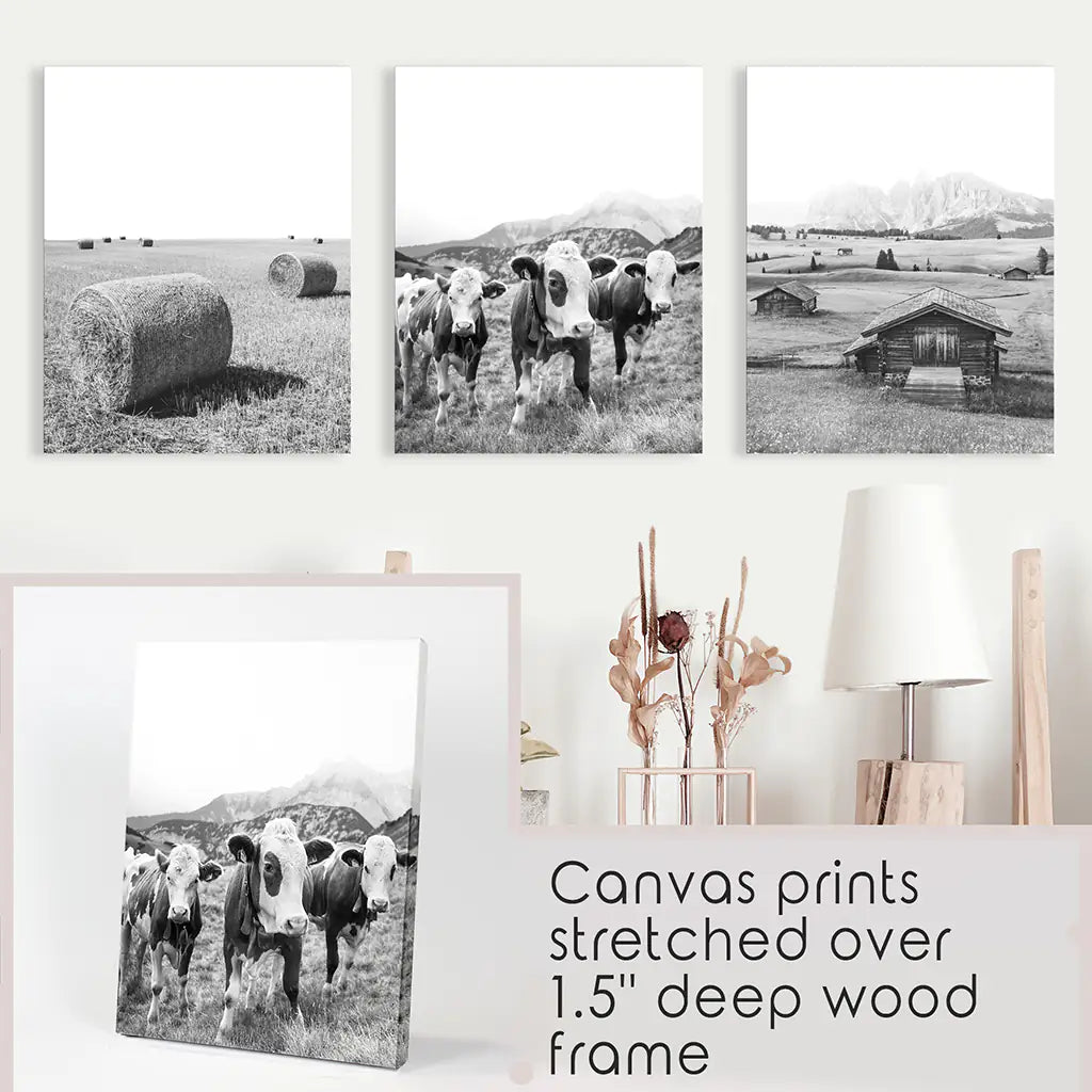 Black White Country Style Wall Art. Set of 3 - Cows, Barn, Haystacks. Wrapped Canvas
