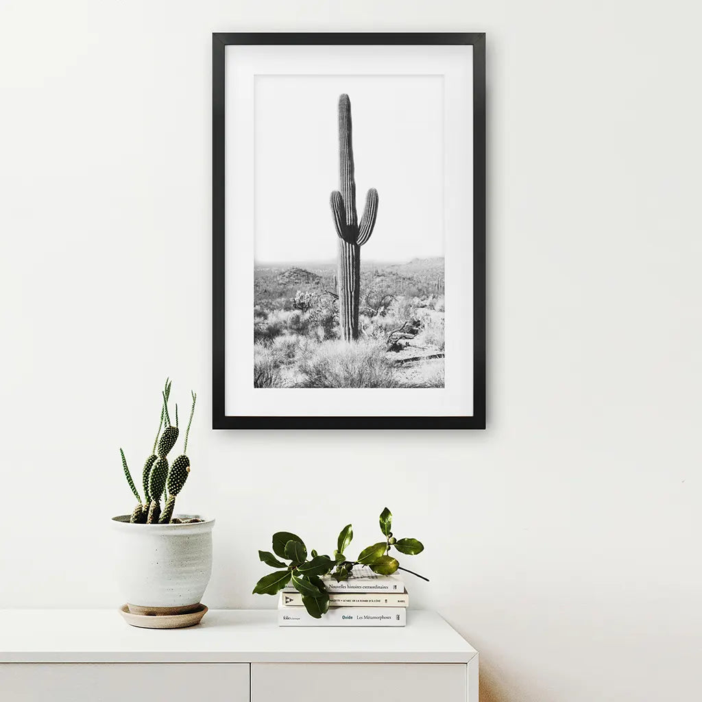 Saguaro Cactus Print. Black White Arizona Desert Nature. Black Frame with Mat