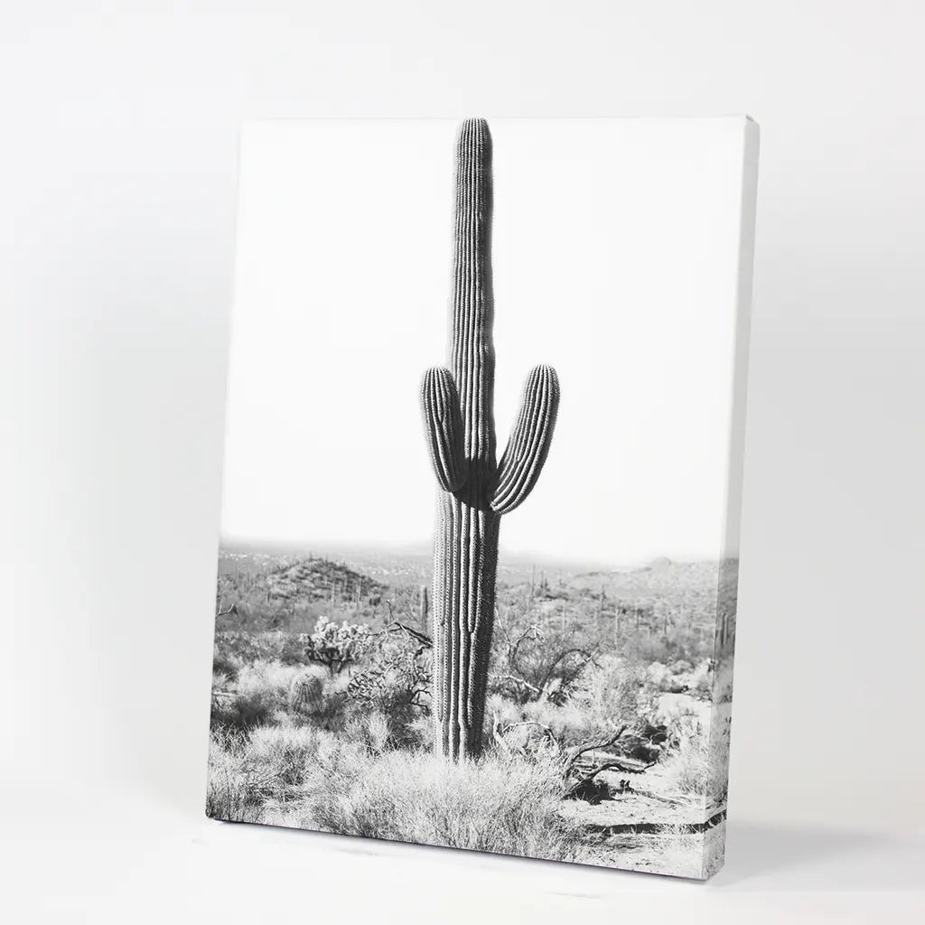 Saguaro Cactus Print. Black White Arizona Desert Nature. Canvas Print