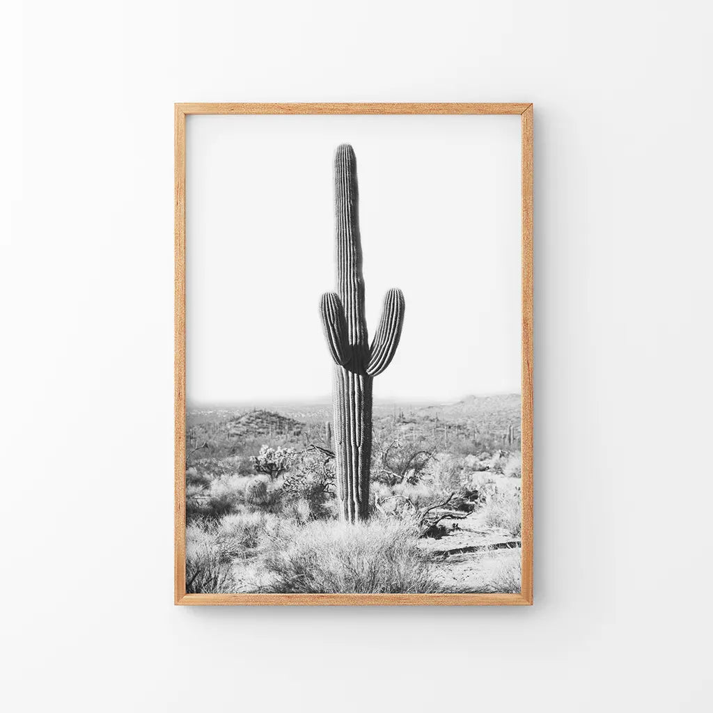 Saguaro Cactus Print. Black White Arizona Desert Nature. Thin Wood Frame