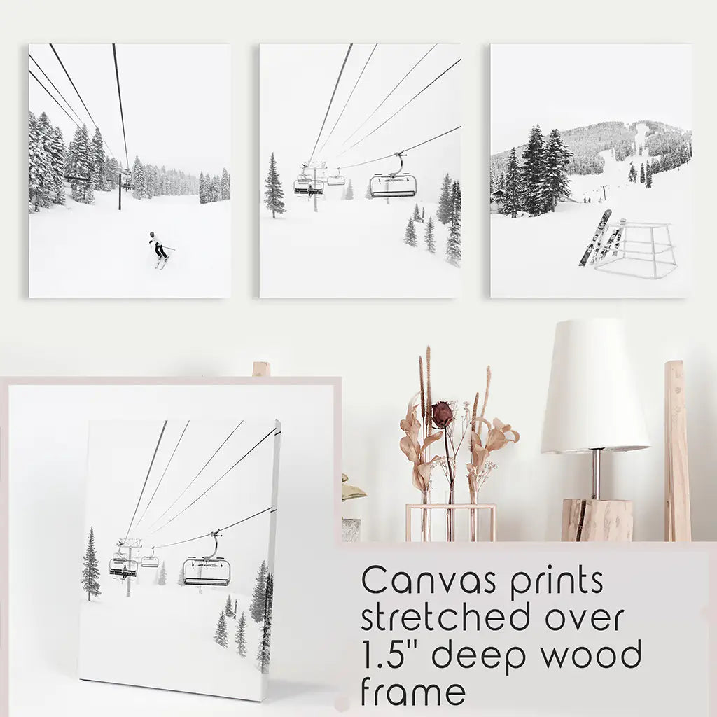 3 Piece Black White Winter Sport Wall Art Set. Ski Lodge. Canvas Prints