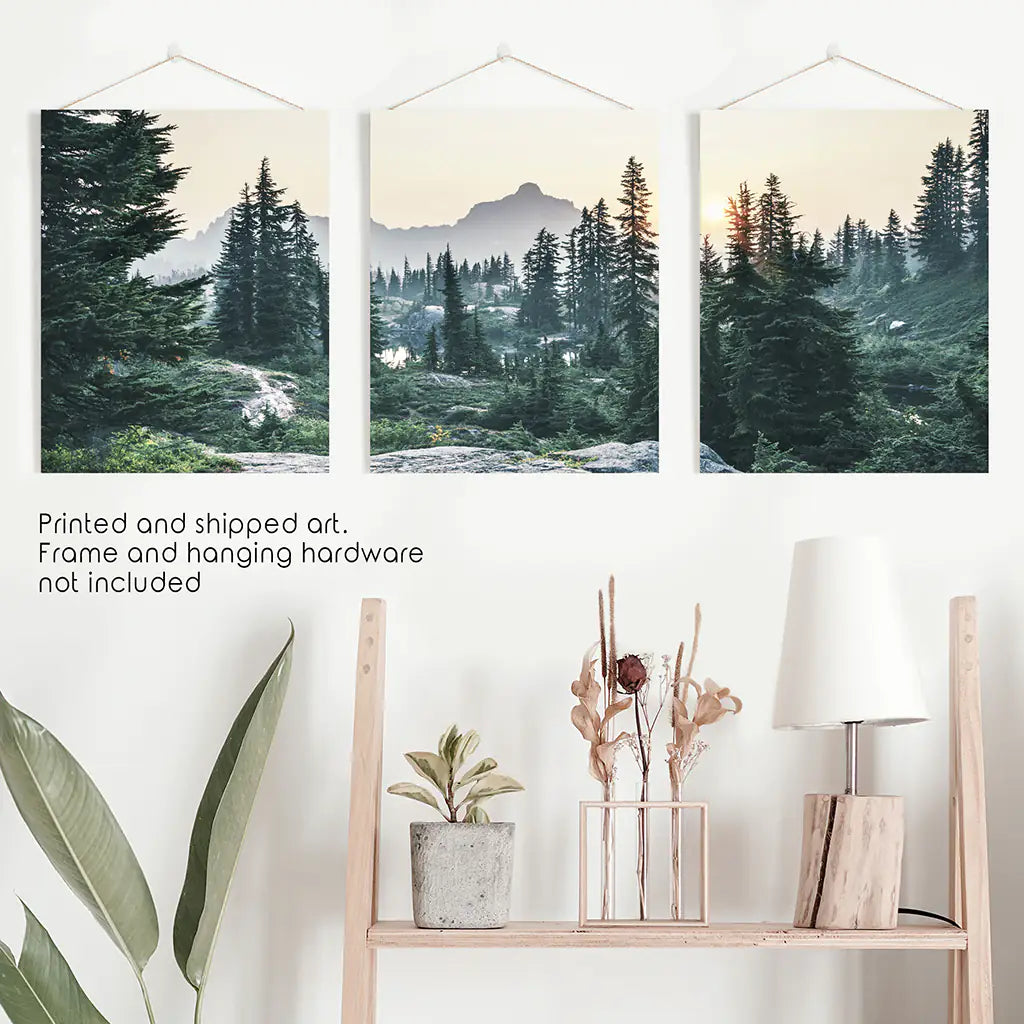 Mountain Pine Tree Forest Wall Decor. Rampart Ridge, Washington, USA. Unframed Art