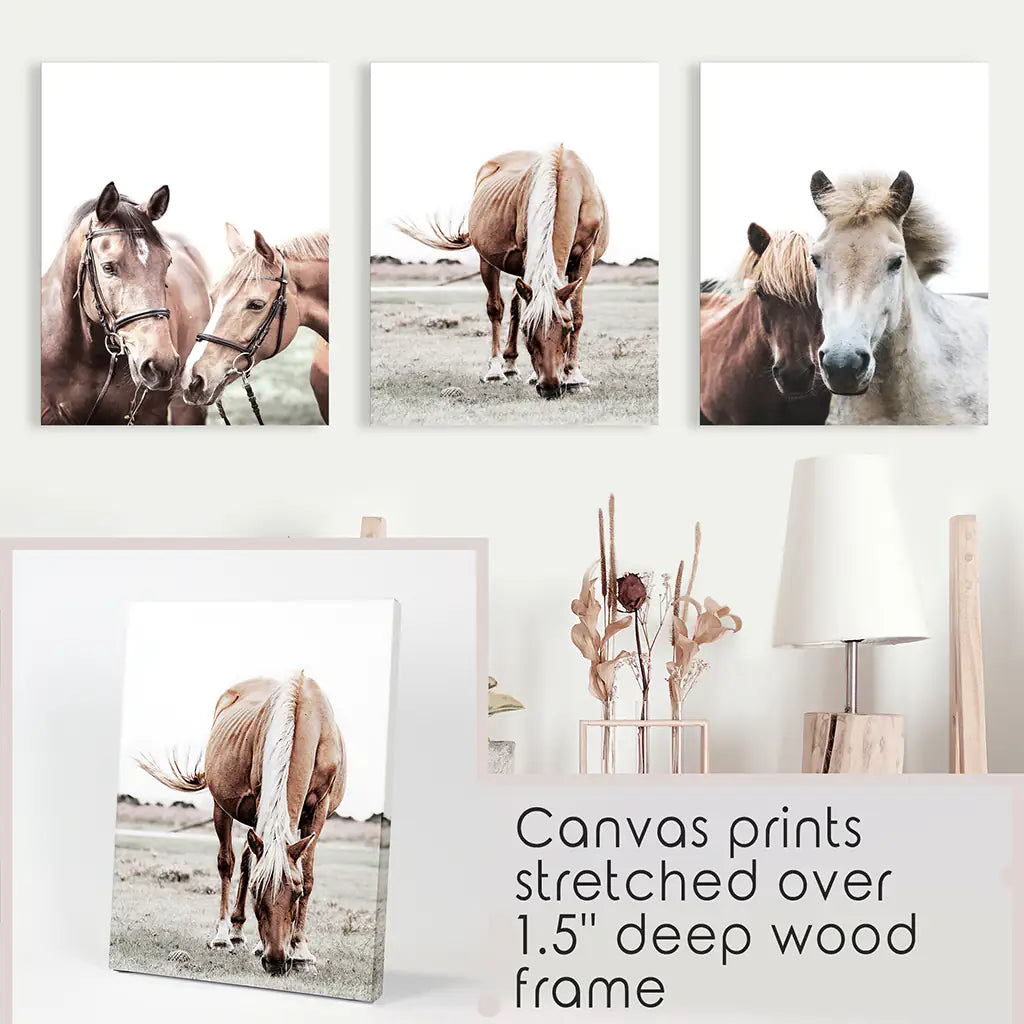 Horses. Modern Farmhouse Print Set of 3 - Stretched Canvas