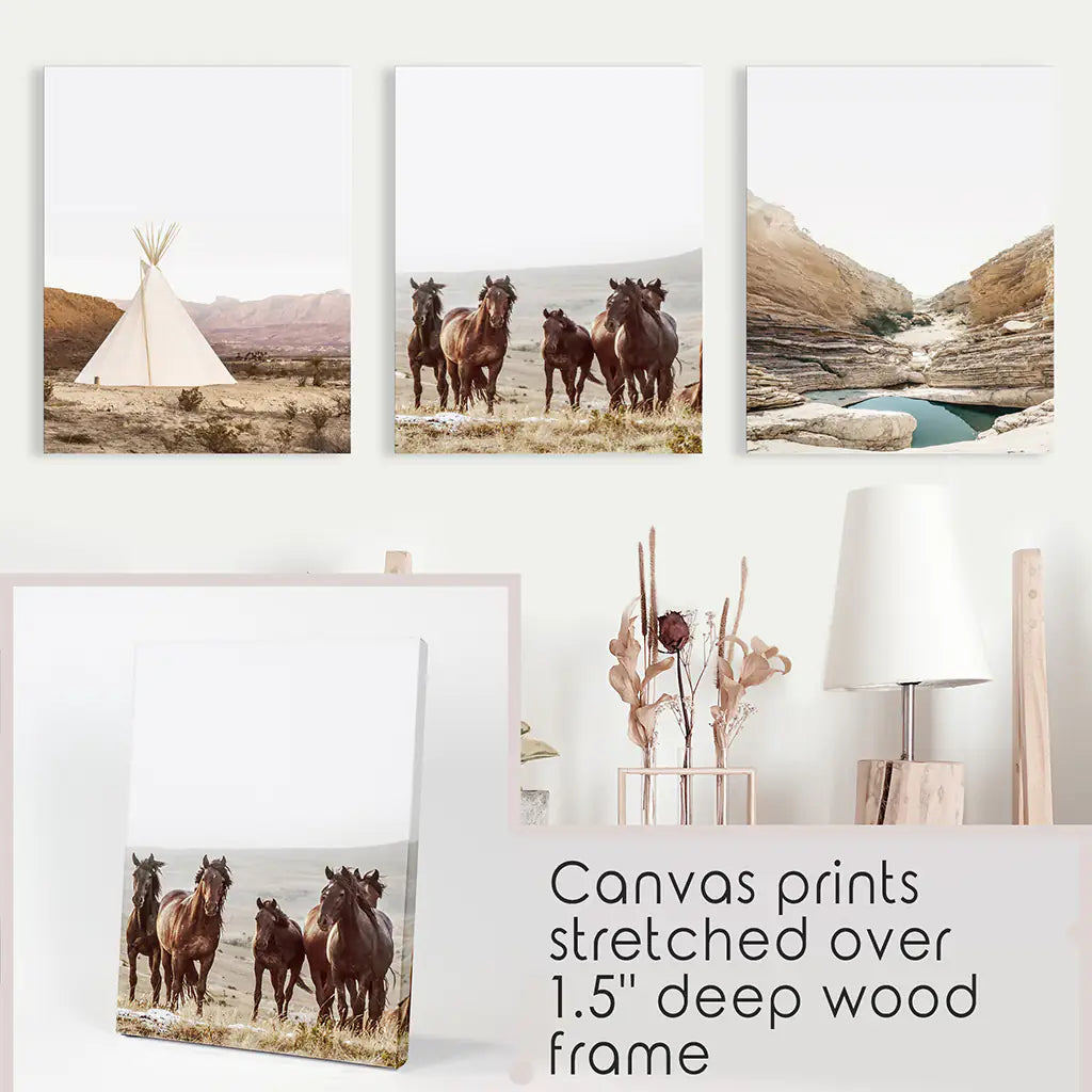 Texas Travel 3 Piece Wall Decor. Big Bend National Park, Wild Horses, Teepee. Stretched Canvas Prints