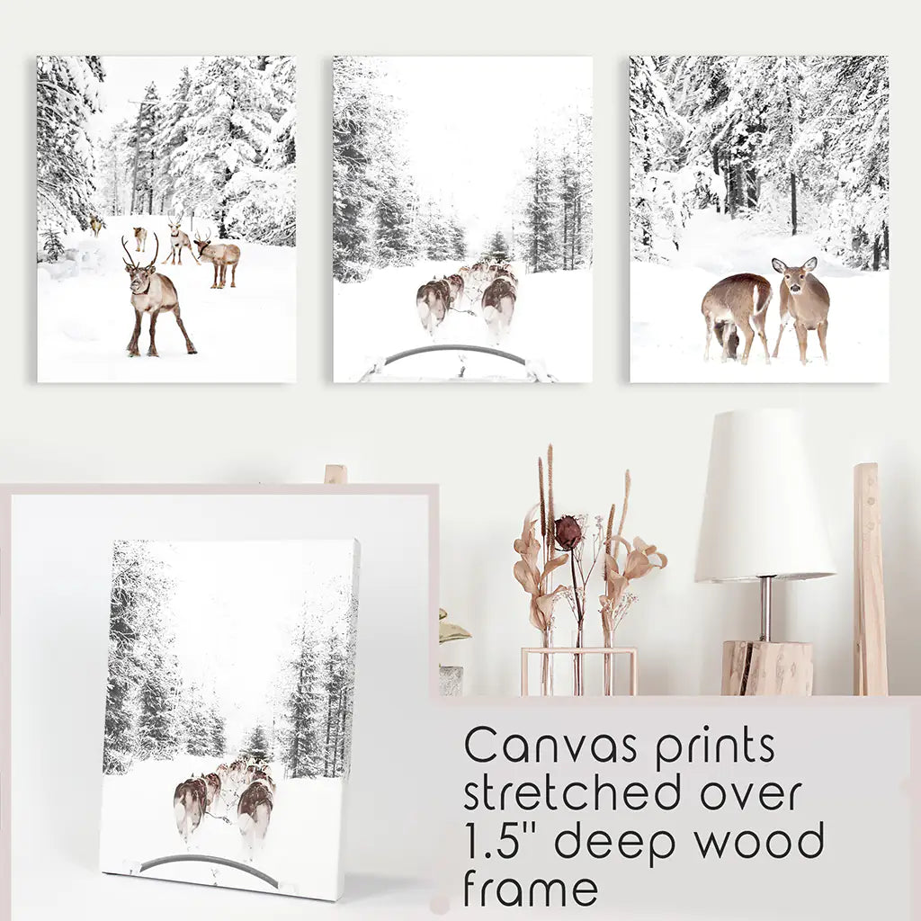 Woodland Winter Photo Set of 3. Fawn, Dog Sledding. Canvas Prints