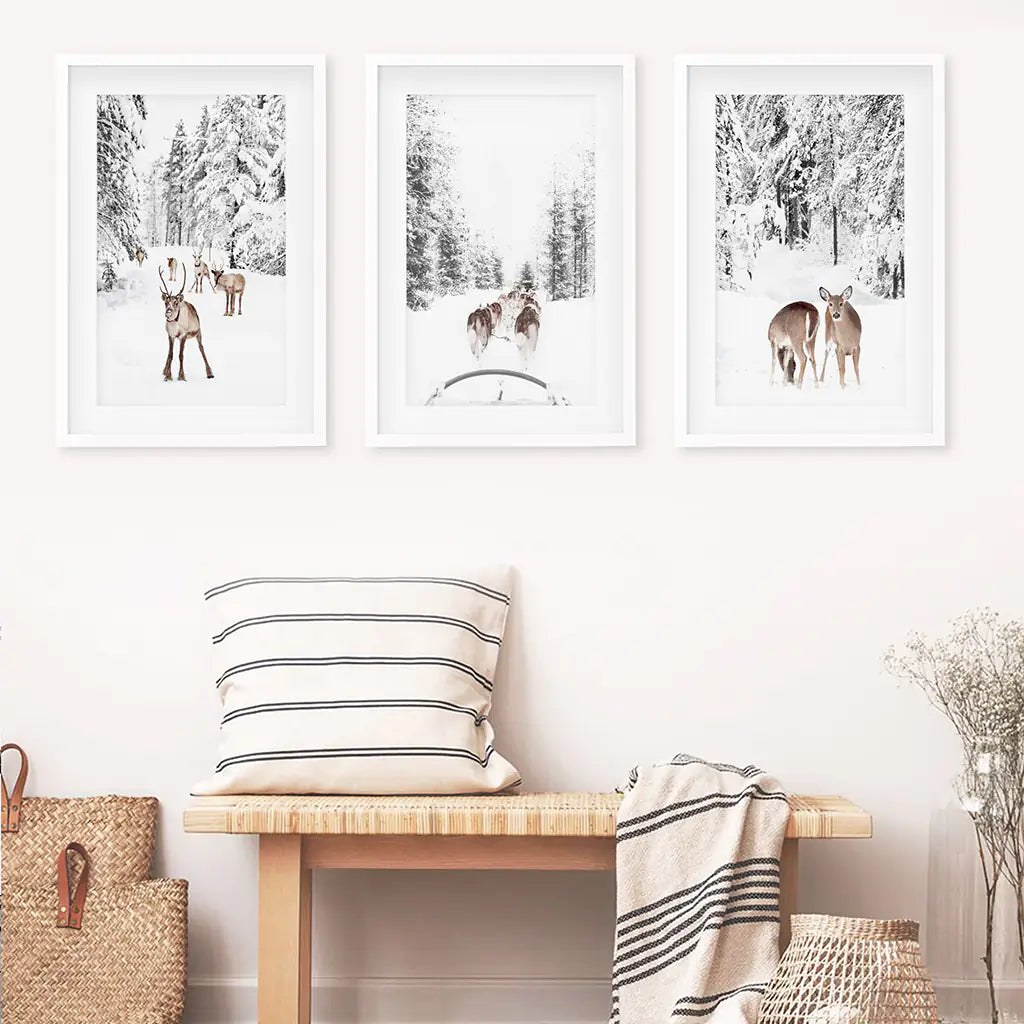 Woodland Winter Photo Set of 3. Fawn, Dog Sledding. White Frames with Mat