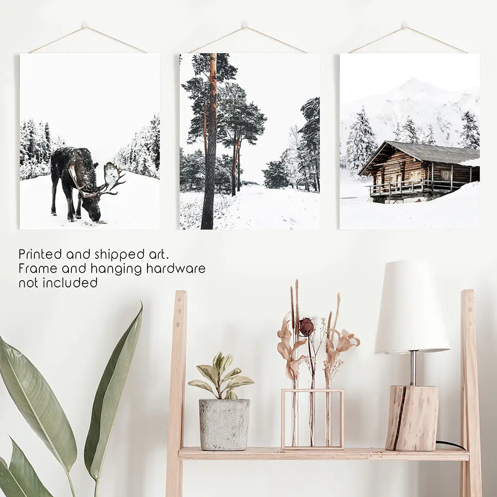 Nordic Winter 3 Piece Photo Set. Pine Forest, Moose, Log Cabin. Unframed Prints