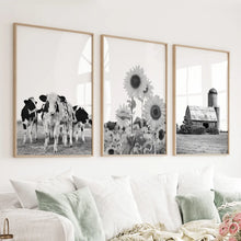 Load image into Gallery viewer, Rustic Black White Wall Art Set. Cows, Sunflowers, Old Barn
