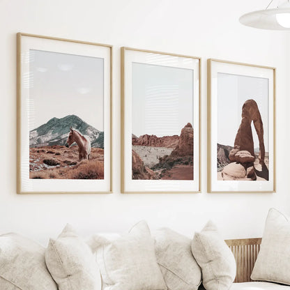 Arches National Park Wall Art Set. Horse in the Desert