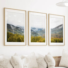 Load image into Gallery viewer, Foggy Mountains and Green Forest. Photo Triptych
