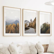 Load image into Gallery viewer, Brown Autumn Mountain Forest Scenery. Set of 3 Prints
