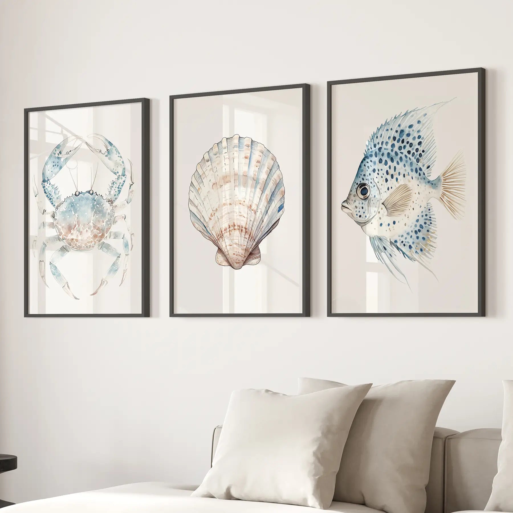 Neutral shell large prints. Coastal wall art home decor. Black frames above the sofa.