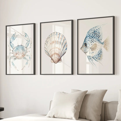 Neutral shell large prints. Coastal wall art home decor. Black frames above the sofa.