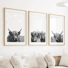 Load image into Gallery viewer, Black White Highland Cow Photo. 3 Piece Wall Art
