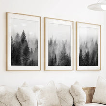 Load image into Gallery viewer, Misty Trees Wall Art. Black White Pine Forest Prints
