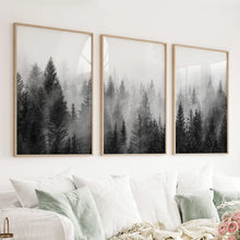 Load image into Gallery viewer, Misty Trees Wall Art. Black White Pine Forest Prints
