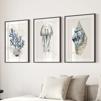 Blue coastal wall art set of 3 prints. Shell painting room decor. Black frames with mat for living room.