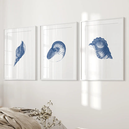 Marine beach room decor. Vintage prints home decor. White frames with mat for bedroom.
