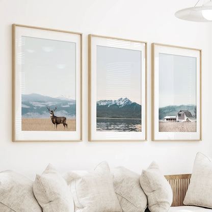 Set of 3 US Nature Photography. Colorado Travel Wall Art