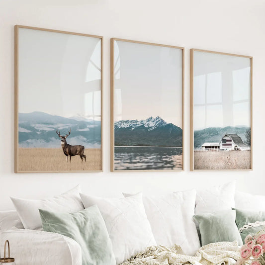 Set of 3 US Nature Photography. Colorado Travel Wall Art