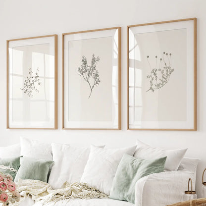 Vintage Neutral Flowers Wall Art Decor Poster Set. Thinwood Frames with Mat Above the Sofa.
