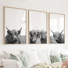 Load image into Gallery viewer, Black White Highland Cow Photo. 3 Piece Wall Art
