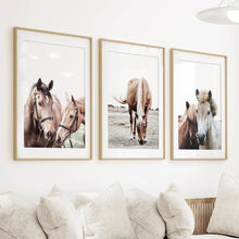 Load image into Gallery viewer, Horses. Modern Farmhouse Prints. Western Set of 3
