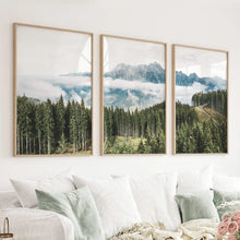 Load image into Gallery viewer, Green Pine Tree Forest. Blue Foggy Mountains. Set of 3 Prints
