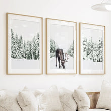 Load image into Gallery viewer, Nordic Winter Wall Art Set of 3. Snowy Forest and Moose
