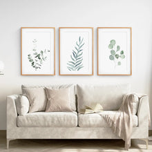 Load image into Gallery viewer, Greenery Wall Art Prints Home Decor Set. Thinwood Frames with Mat Over the Coach.
