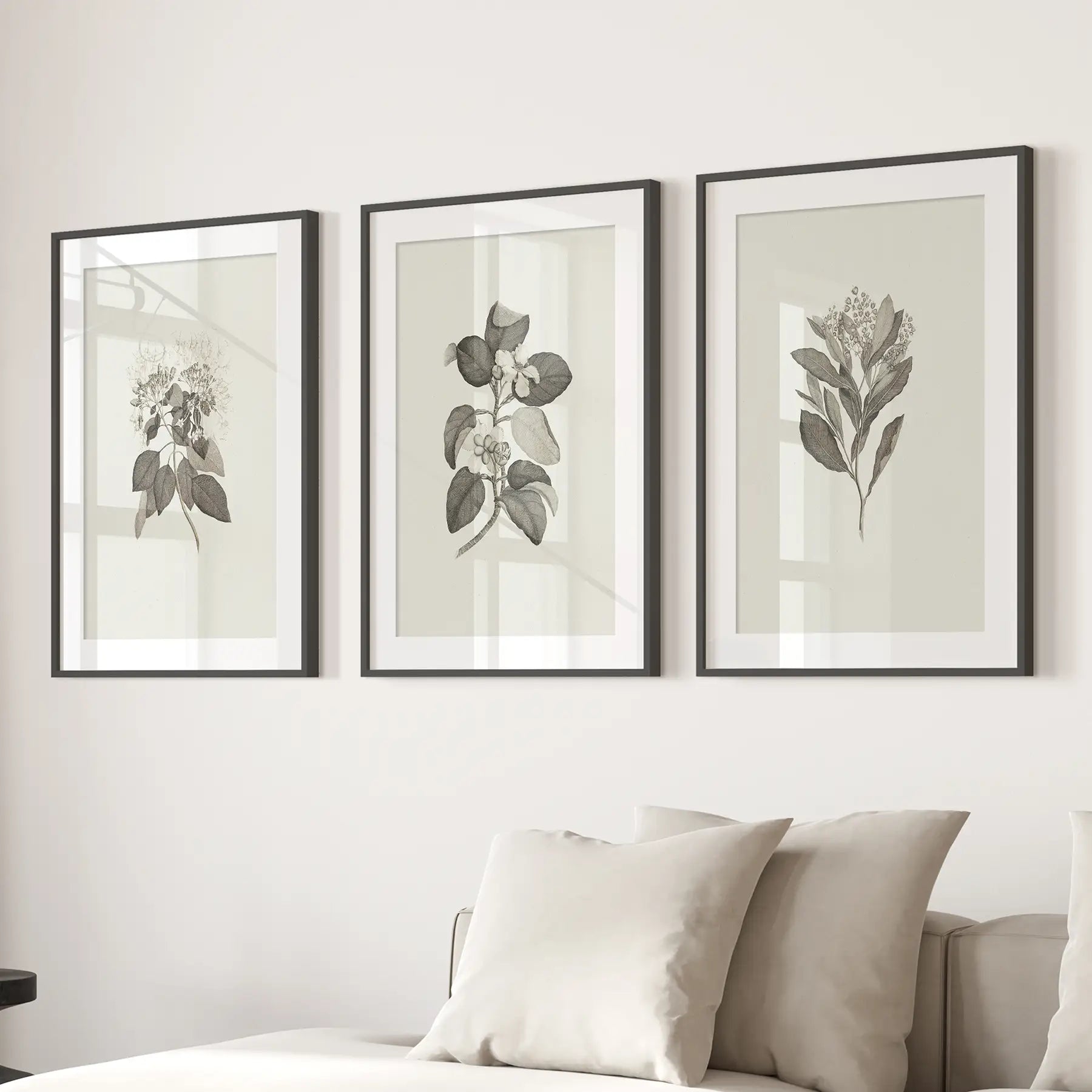 Floral Rustic Farmhouse Decor Art Set Poster Decor. Black Frames with Mat for Living Room.