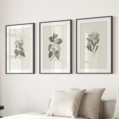 Floral Rustic Farmhouse Decor Art Set Poster Decor. Black Frames with Mat for Living Room.