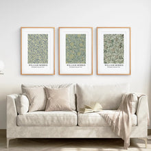 Load image into Gallery viewer, Nature Prints Art Nouveau Morris Wall Art Set. Thinwood Frames with Mat Over the Coach.

