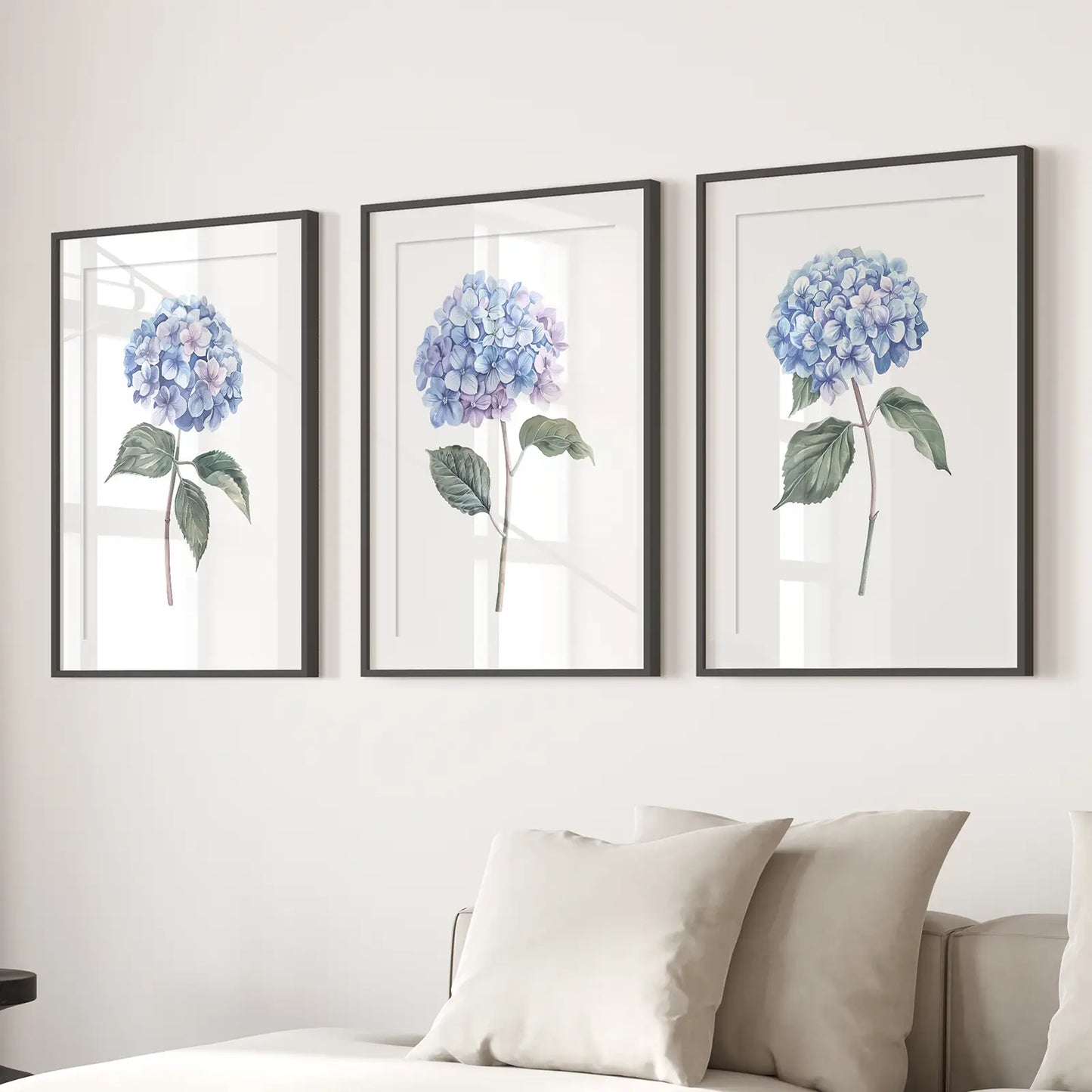 Hydrangea Print Set of 3 Botanical Wall Art. Black Frames with Mat for Living Room.