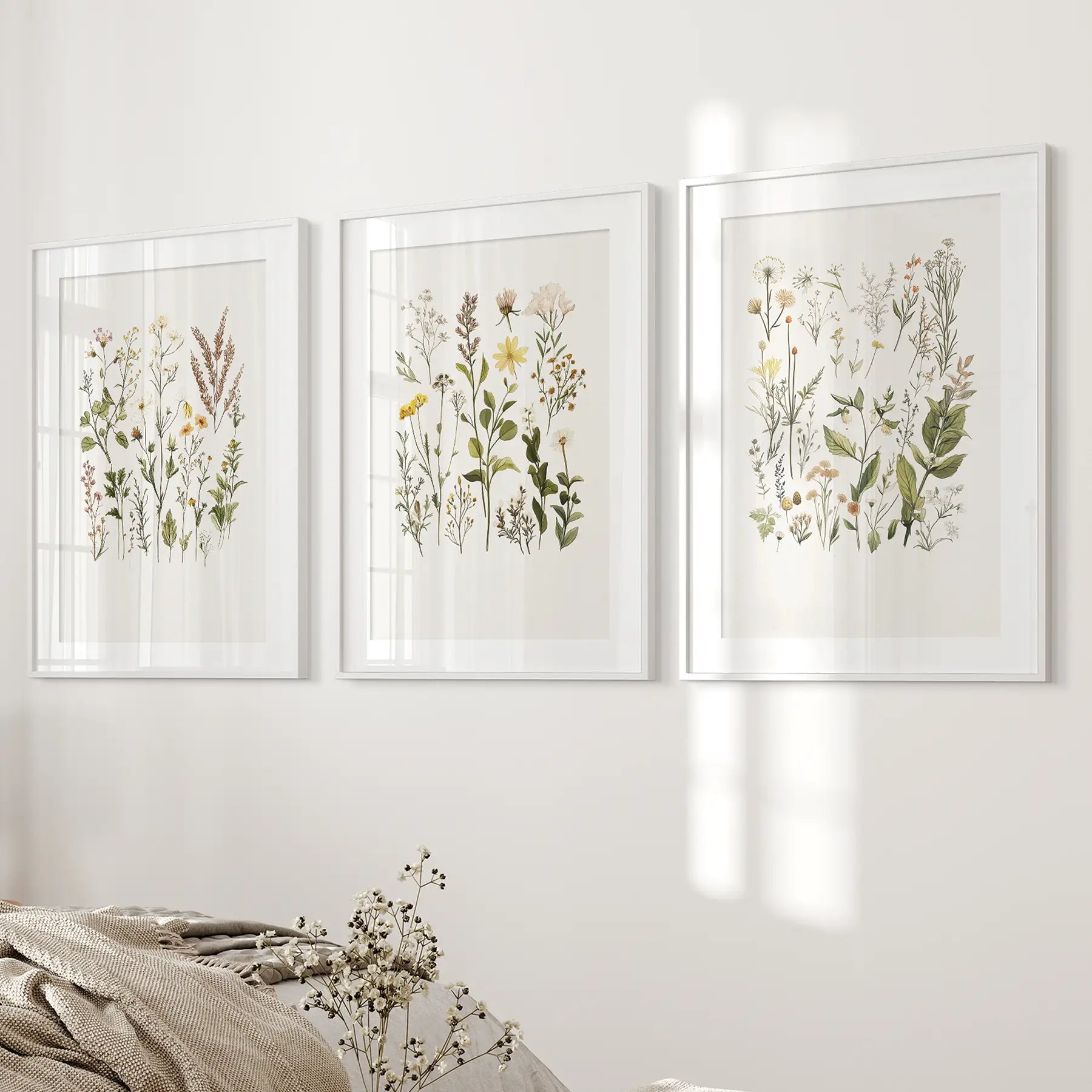 Botanical 3 Piece Wall Art. Minimalist wildflowers posters. White frames with mat for bedroom.