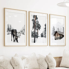 Load image into Gallery viewer, Nordic Winter 3 Piece Photo Set. Pine Forest, Moose, Log Cabin
