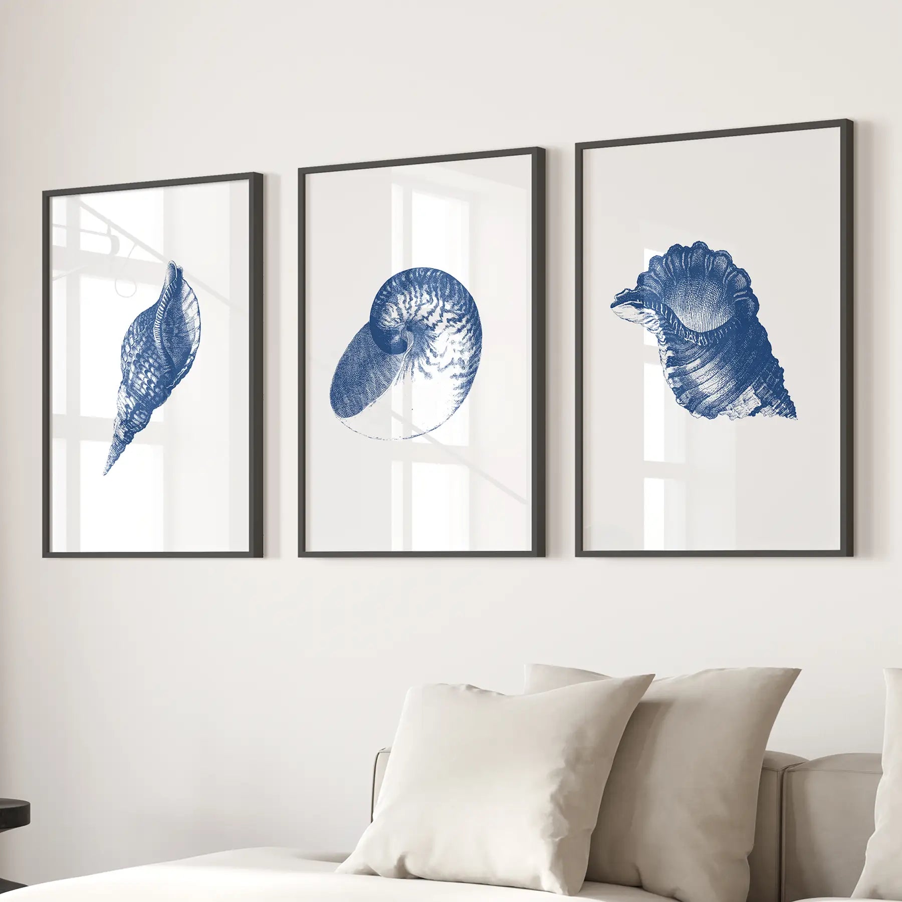 Ocean themed vintage seashell art prints. Nautical wall decor. Black frames over the couch.