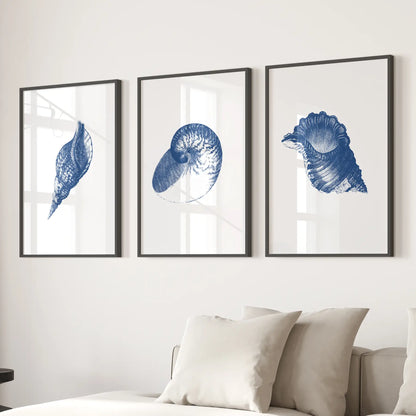 Ocean themed vintage seashell art prints. Nautical wall decor. Black frames over the couch.