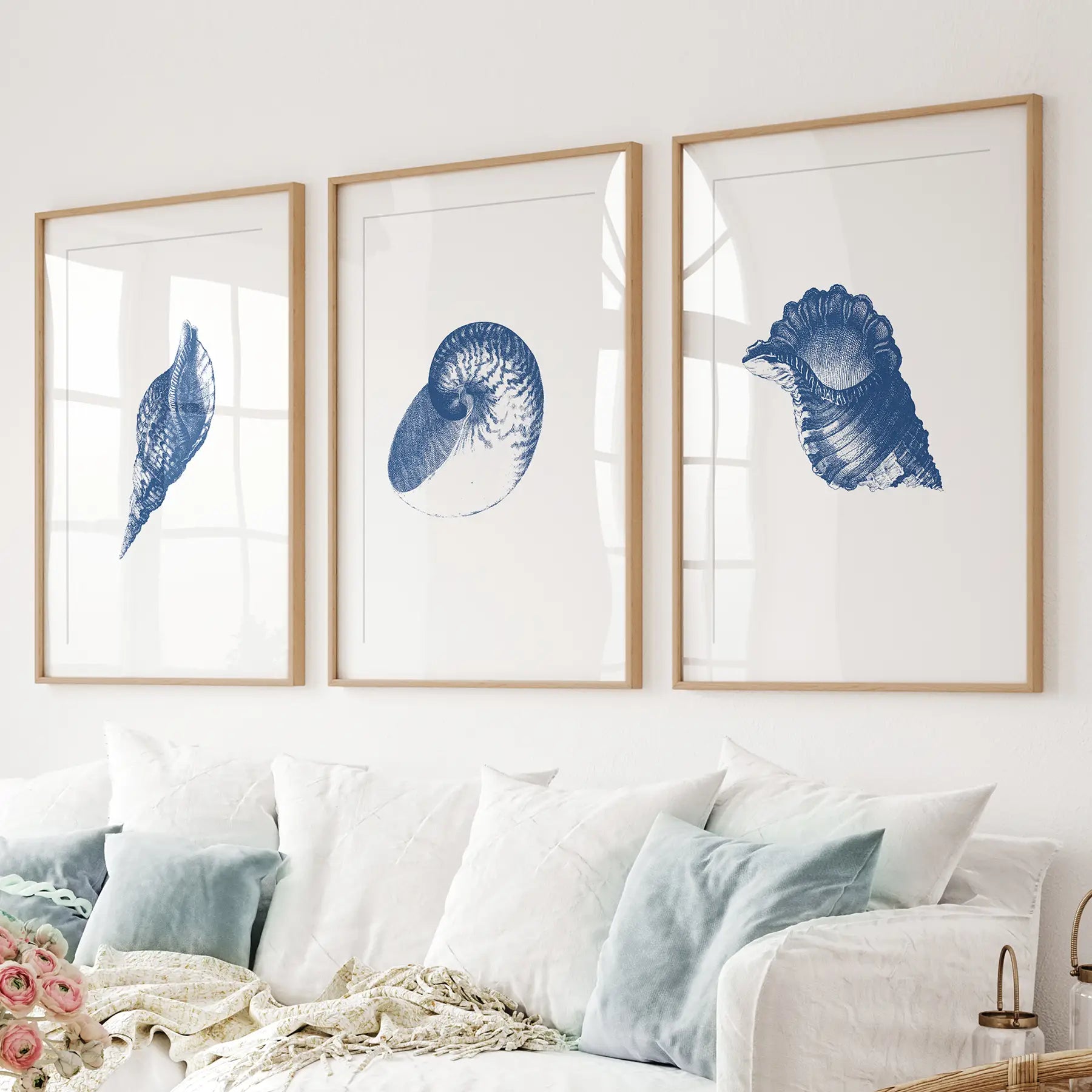 Beach house art posters. Hamptons shell poster wall decor. Thinwood frames with mat for living room.