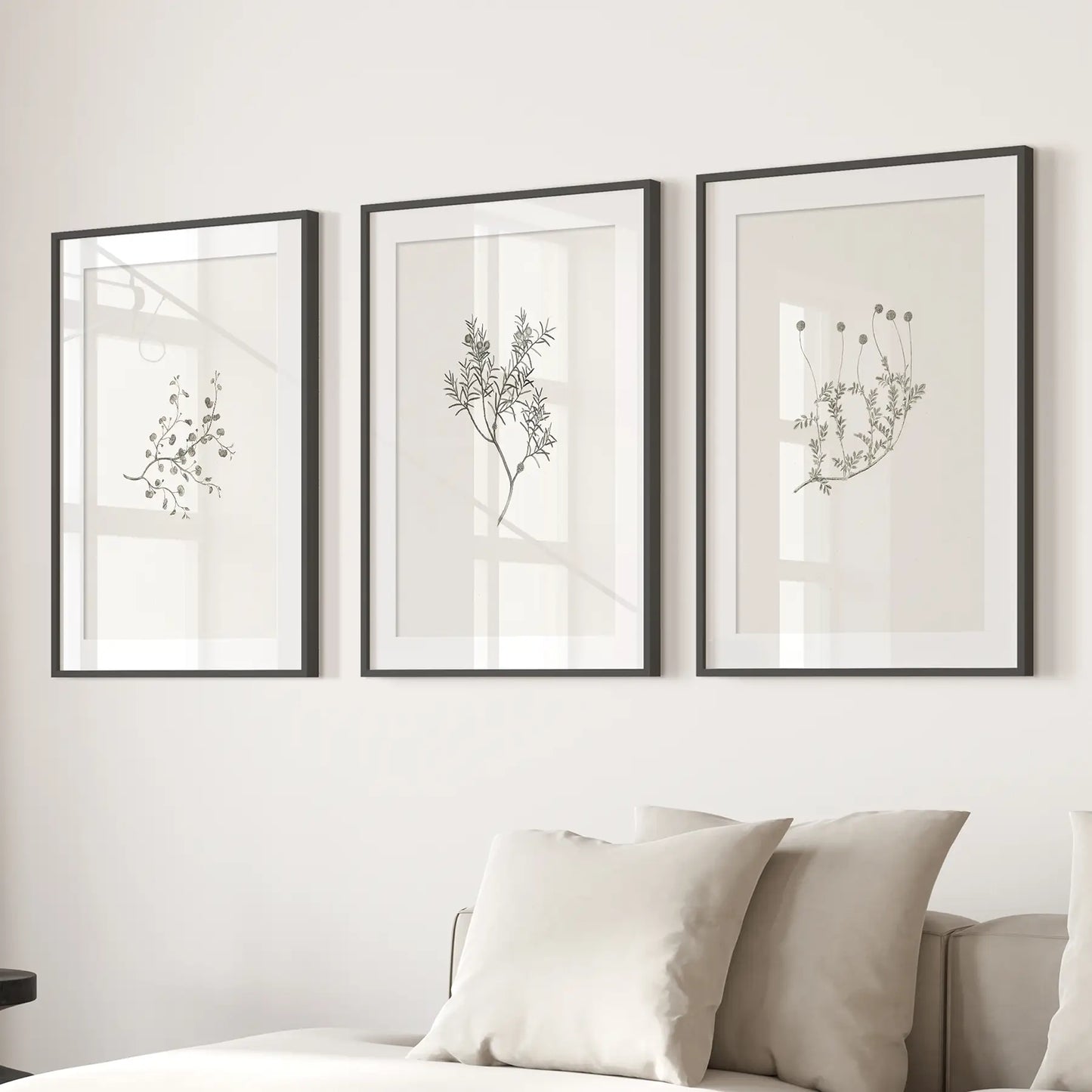 Antique Botanical Prints Room Decor Wall Set Art. Black Frames with Mat Above the Sofa.