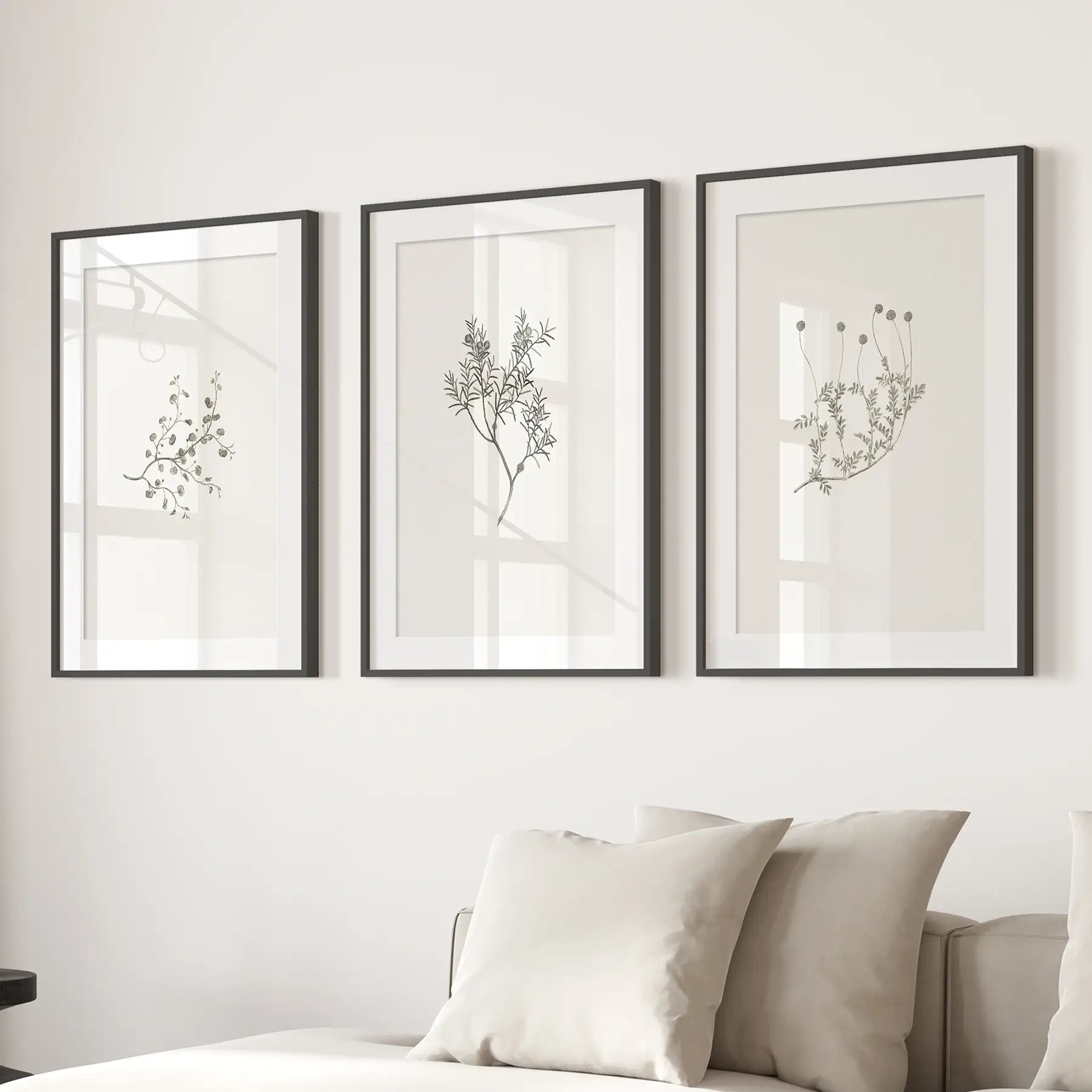 Antique Botanical Prints Room Decor Wall Set Art. Black Frames with Mat Above the Sofa.