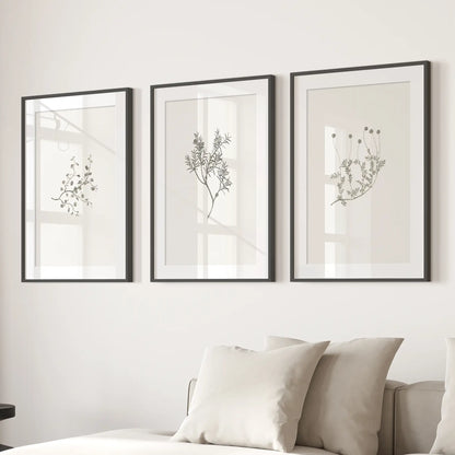 Antique Botanical Prints Room Decor Wall Set Art. Black Frames with Mat Above the Sofa.