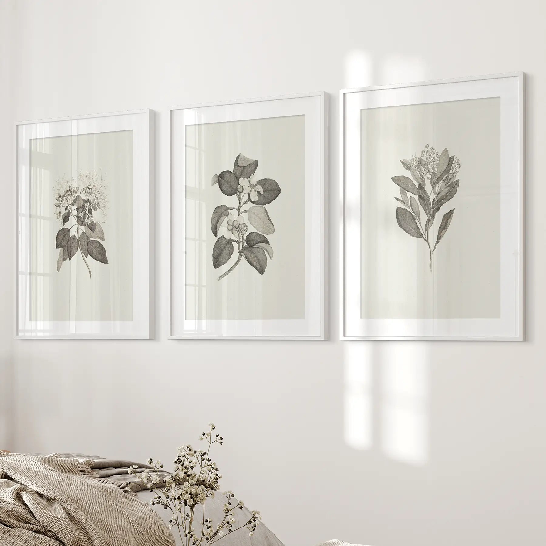 Rustic Neutral Plant Farmhouse Country Decor Prints. White Frames with Mat Above the Bed.