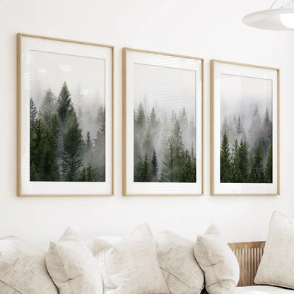 Green Pine Tree Forest. Foggy Nature Wall Art Prints