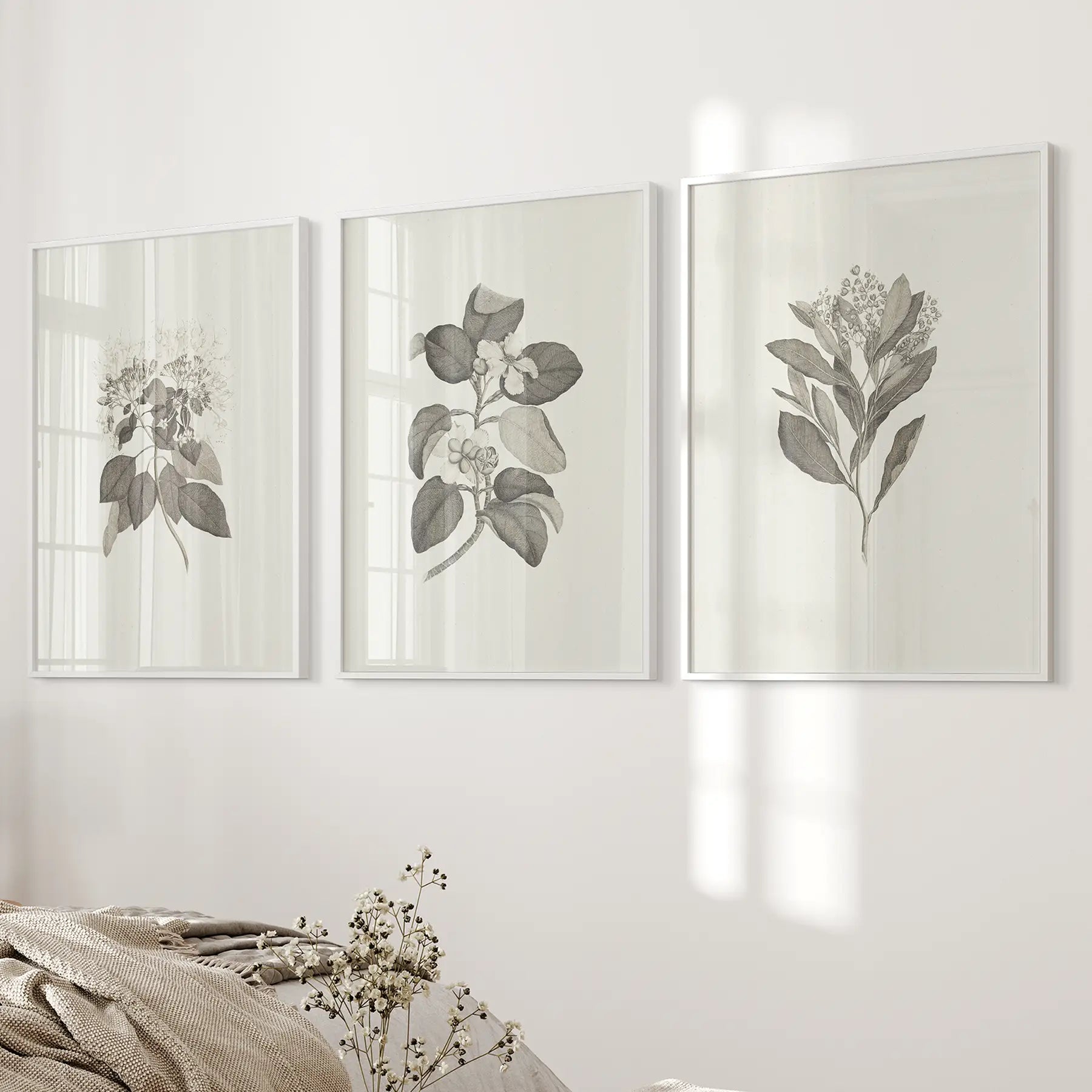 Antique Botanical Drawing Wall Decor Art Print Set. White Frames for Bedroom.