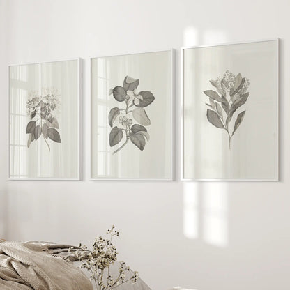 Antique Botanical Drawing Wall Decor Art Print Set. White Frames for Bedroom.